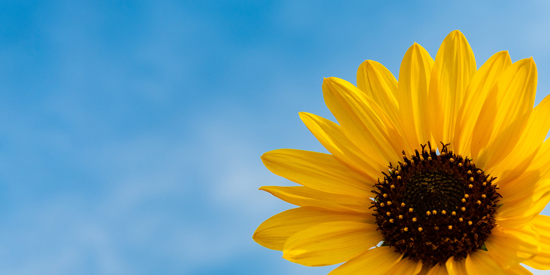 瓦力游戏| 官网 -瓦力出品,必属精品